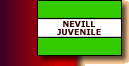  nevill Juvenile Bonfire Society link  